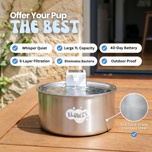 Flowzy™ Automatic Dog Water Fountain