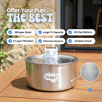 Flowzy™ Automatic Dog Water Fountain