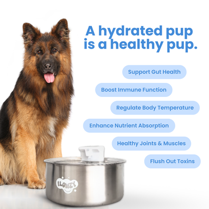 Flowzy™ Automatic Dog Water Fountain