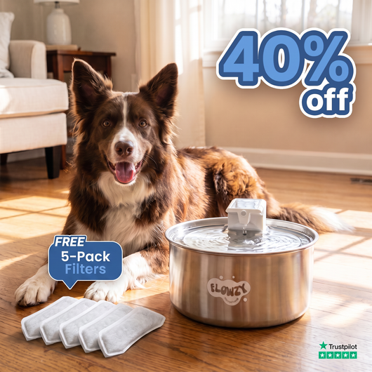 Flowzy™ Automatic Dog Water Fountain