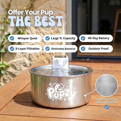 Pupzy™ Water Fountain