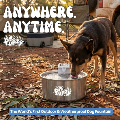 Pupzy™ Water Fountain