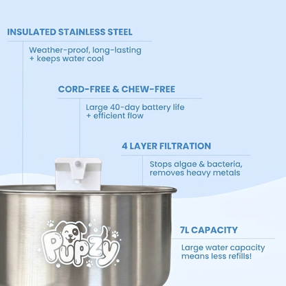 Pupzy™ Water Fountain