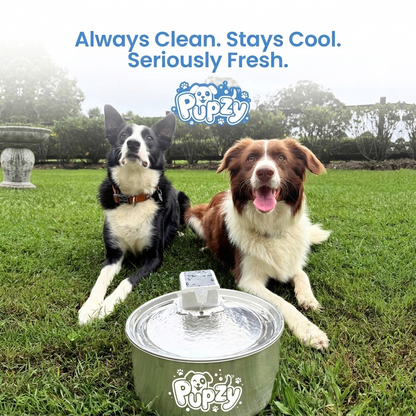 Pupzy™ Water Fountain