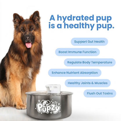 Pupzy™ Water Fountain