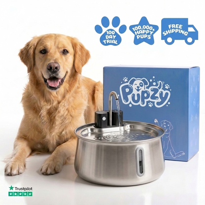 Pupzy™ Water Fountain