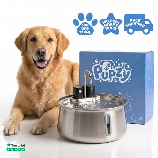 Pupzy™ Water Fountain