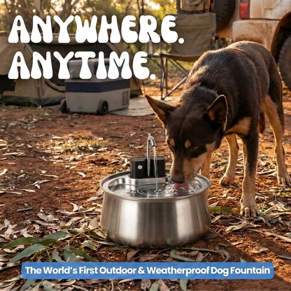 Pupzy™ Water Fountain