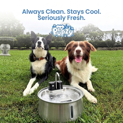 Pupzy™ Water Fountain