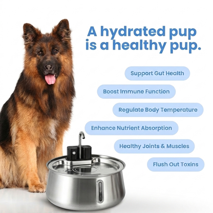 Pupzy™ Water Fountain