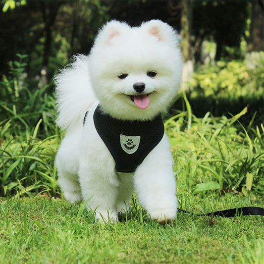 Nylon Mesh Dog Harness