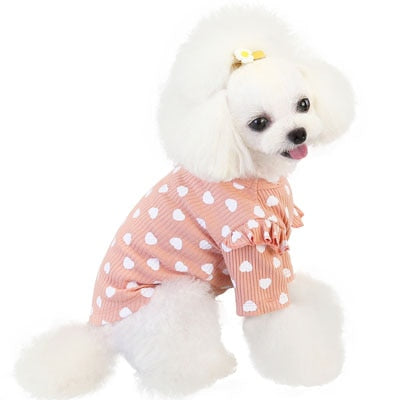 Pet Clothes Autumn Winter