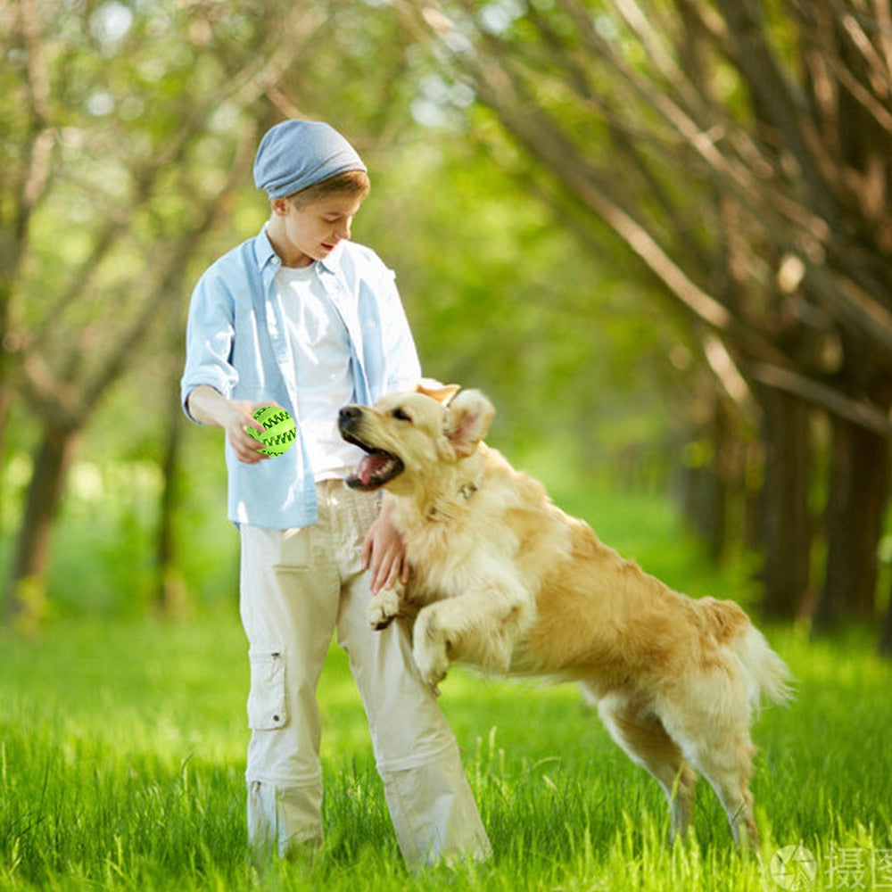 Interactive rubber balls for pets