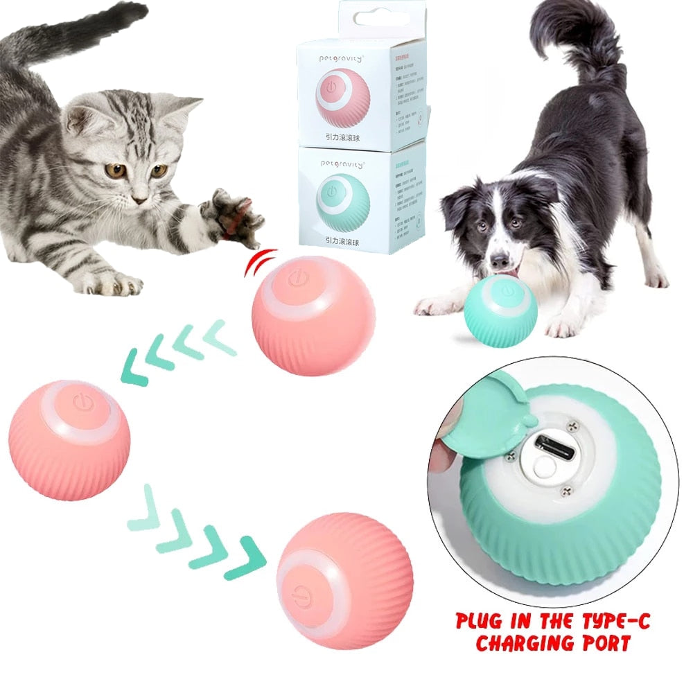 rolling ball electrical cat toys