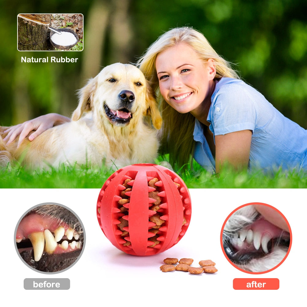 Interactive rubber balls for pets