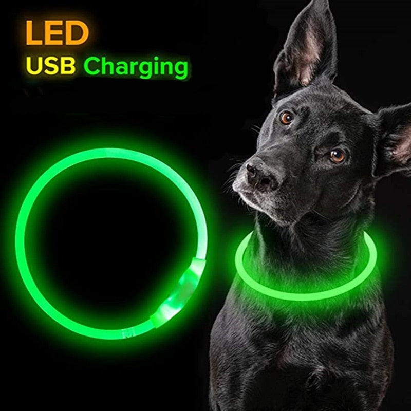 Led Light Dog Collar