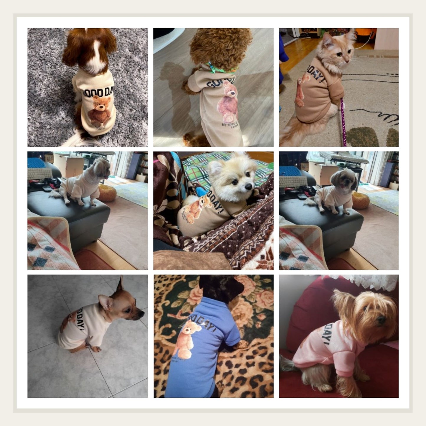 Cartoon Bear Pet Dog Clothes